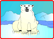 Polar Bear